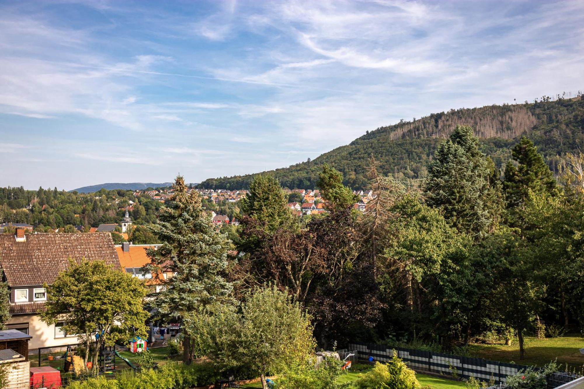 Ferienwohnung Am Bollrich Goslar Dış mekan fotoğraf